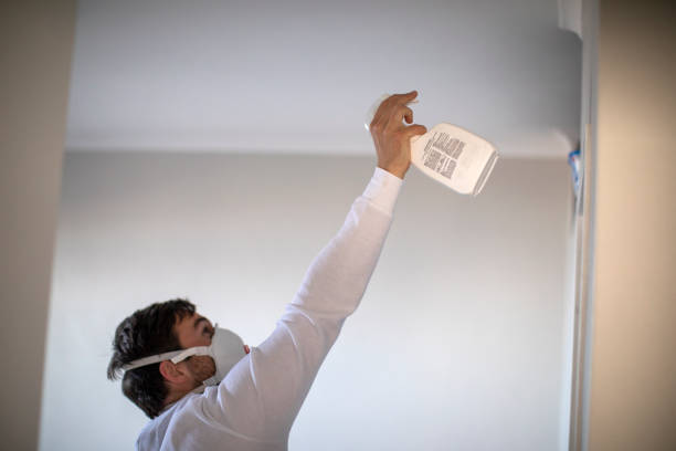 Best DIY Mold Remediation Support Services in West Falls Church, VA