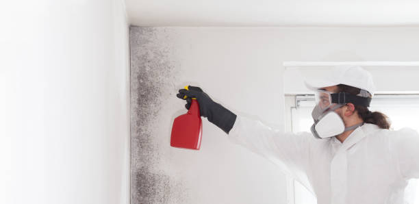 West Falls Church, VA Mold Remediation Company